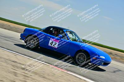 media/May-24-2025-Turn8 Trackdays (Sat) [[034586b55d]]/5 Inter 1/Session 2 (Cotton Corners-Grapevine)/